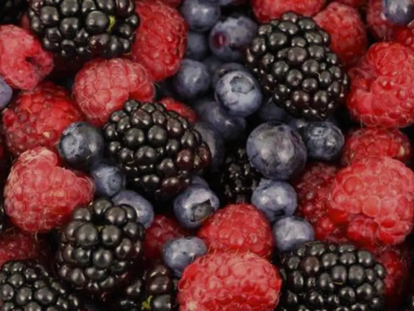 French Bloom Geschmacksnote: Rote Beeren